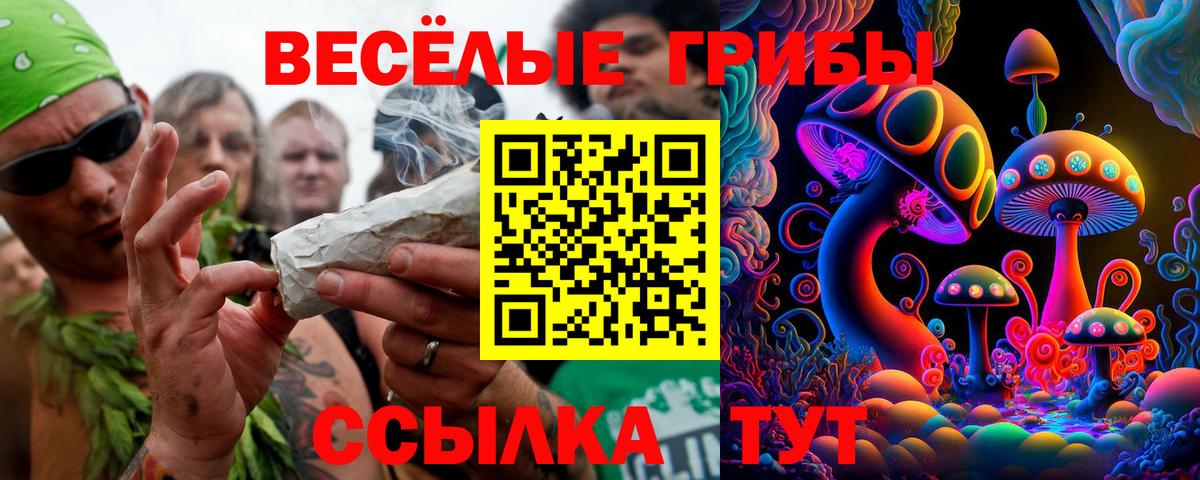 Галлюциногенные грибы Psilocybine cubensis Феодосия
